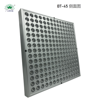 廣元宏智能語(yǔ)音光譜儀美容儀：大排燈祛痘、光子嫩膚的理想之選